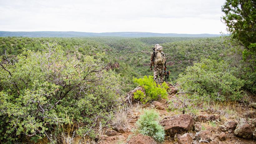 Passing on animals kirchner 2