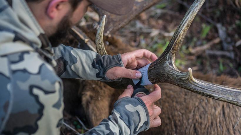 An elk hunting season to remember - 14