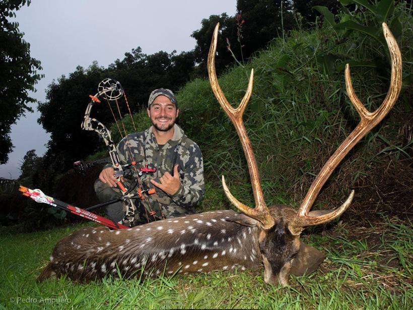 Pedro De Ampuero with a Maui Hawaii Axis deer