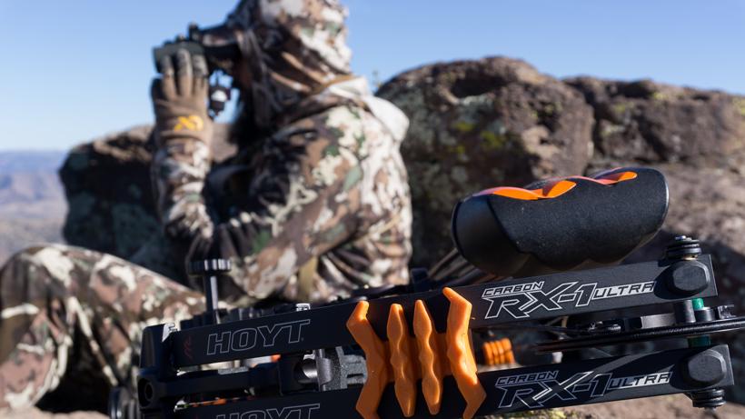 Arizona javelina hunting opportunities - 3
