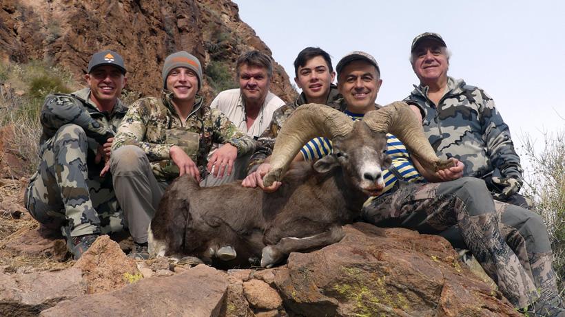 Alex sharif bighorn sheep