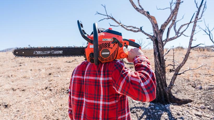 In search of the perfect stump