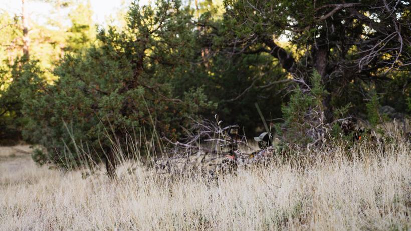 Waiting out a buck while bowhunting