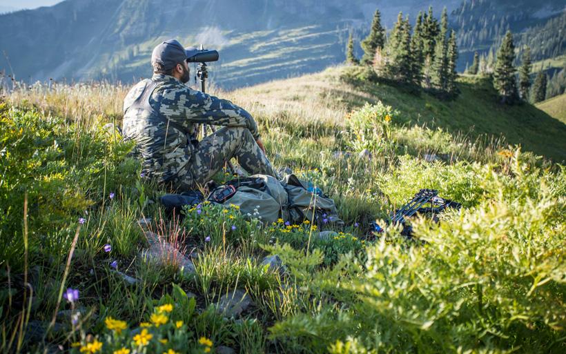Lorenzo sartini glassing for mule deer