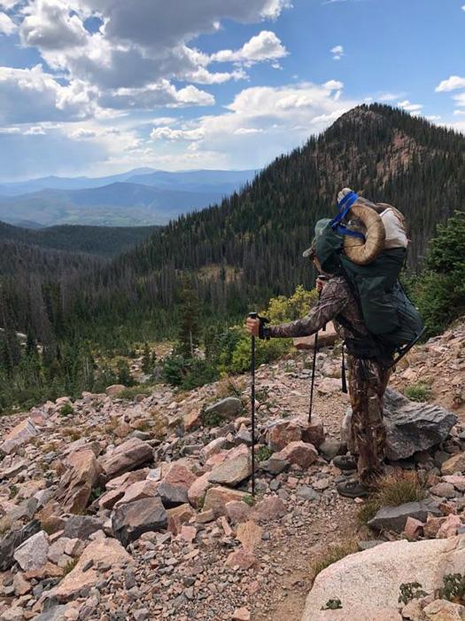 Several miles to go packing the bighorn sheep