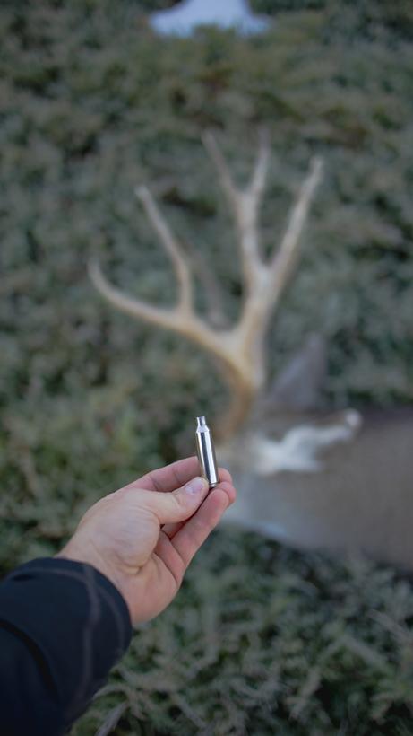 Finding luck on public land mule deer down