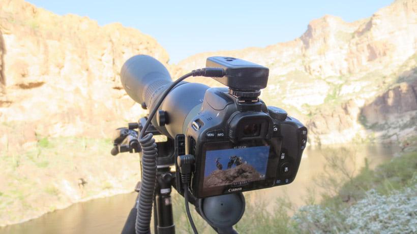 A complete overview of the best digiscoping setups for hunting - 4