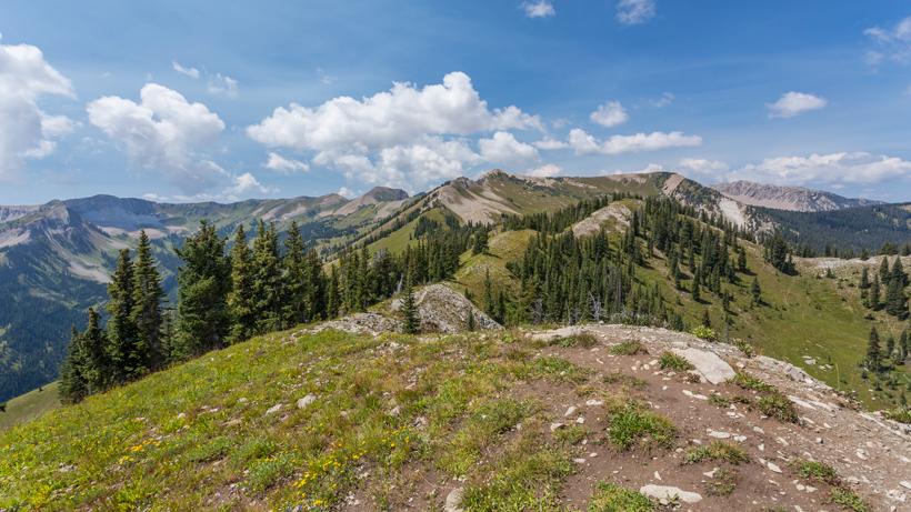 Staying busy during COVID-19 - V1