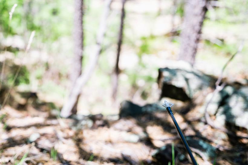Bowhunting for success: Late season Coues deer tactics - 5