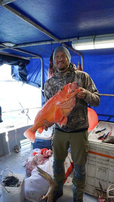 Trail kreitzer with a yelloweye in alaska
