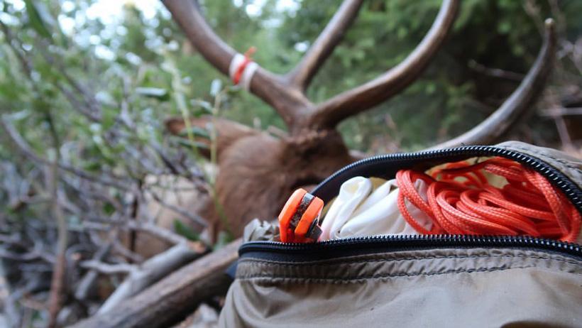4 quick tips to make your hunting videos stand out - 3