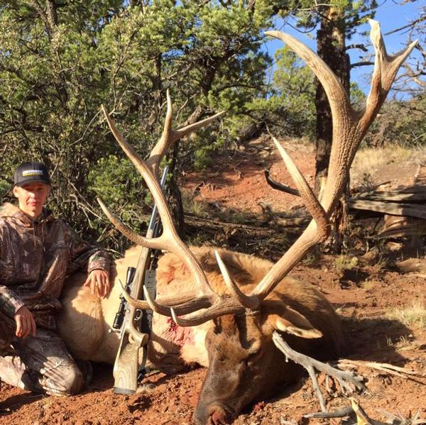 APPLICATION STRATEGY 2016: New Mexico Elk, Deer, Antelope - 6d