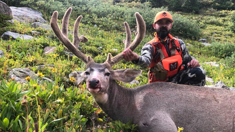 2019 Colorado high country early rifle mule deer hunt - 7d