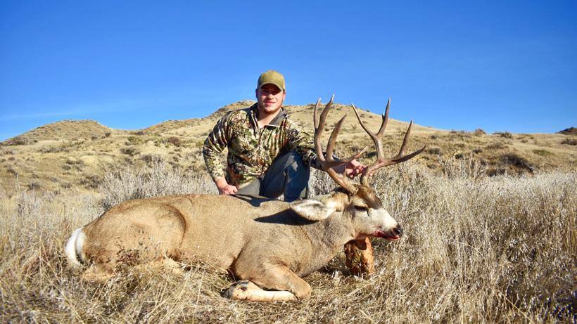 APPLICATION STRATEGY 2019: Montana Deer - 4d