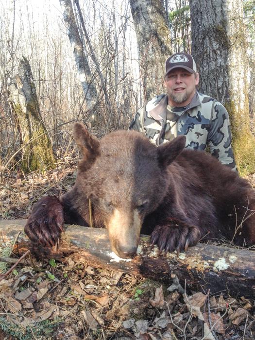Large montana black bear taken with scapegoat wilderness outfitters