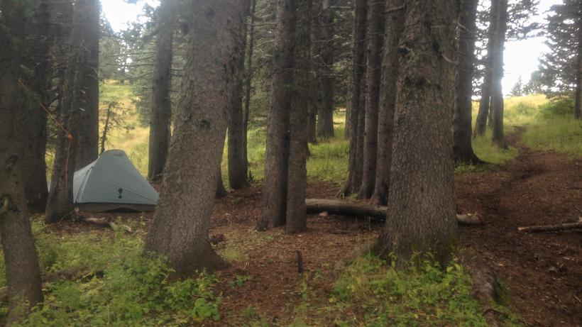 Elk camp in New Mexico