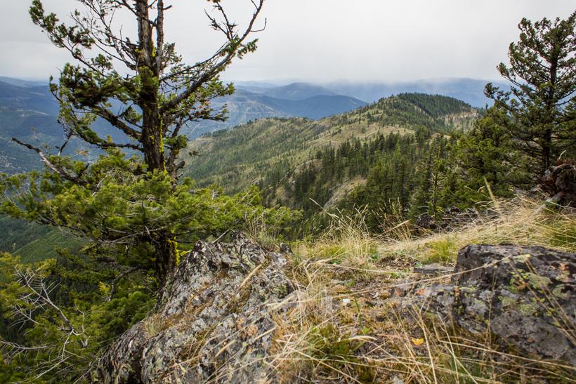 Montana spring bear hunting scenery