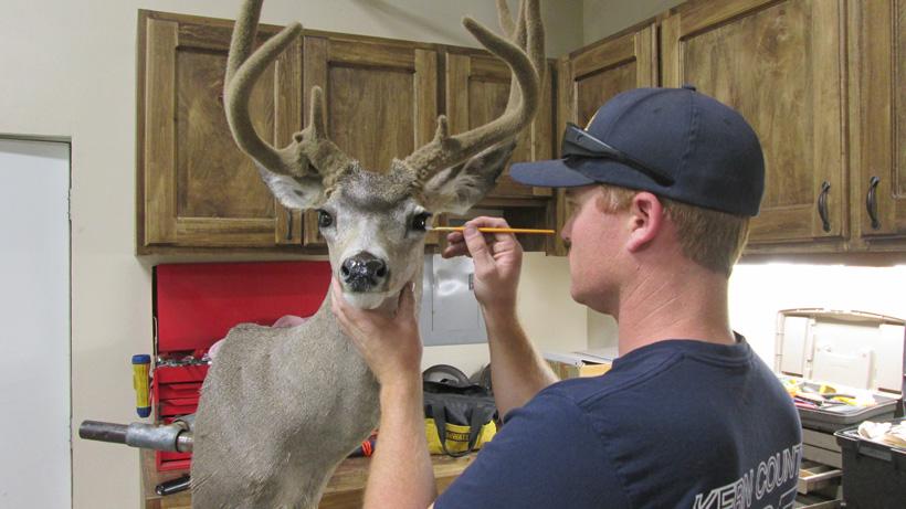 Attention to detail on eyes