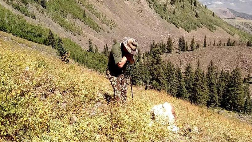 Mountain goats, family, friends and a hunt to remember - 11