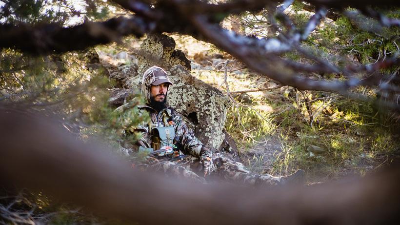 Ambush hunting for black bears