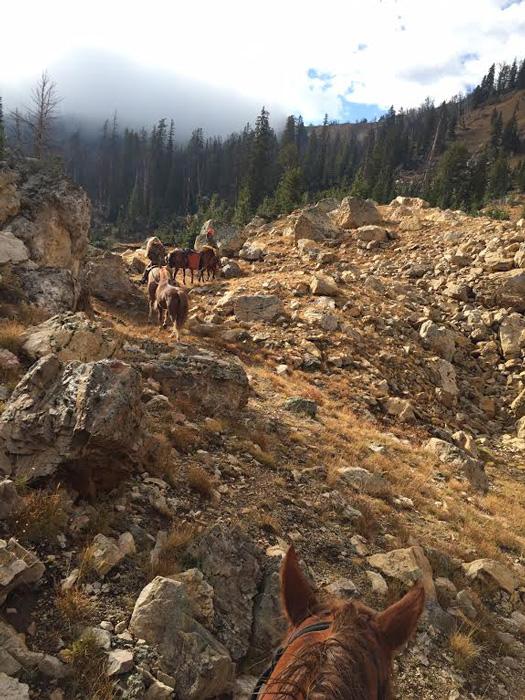 Riding horses up the mountain