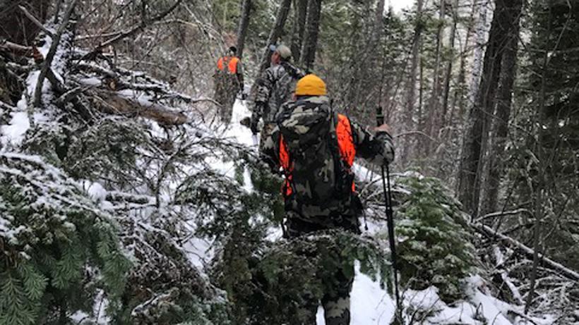 Bighorn sheep hunt 4_0