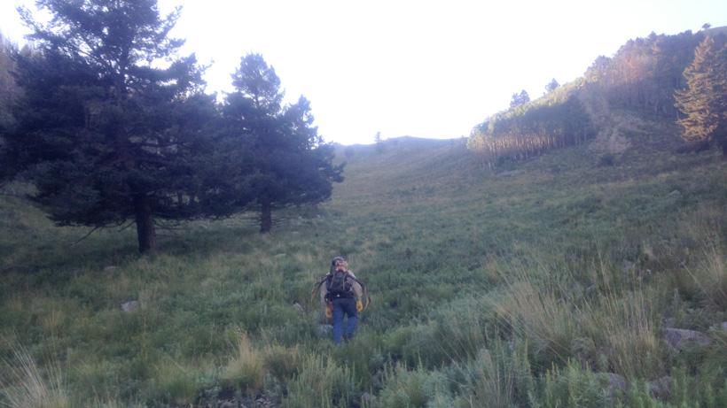 Packing out an archery bull elk