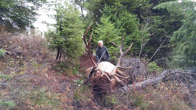 Vince young eleven year old sons bull elk