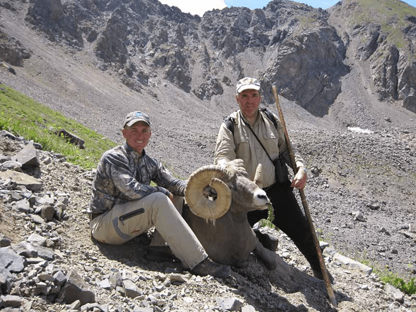New mexico rocky bighorn