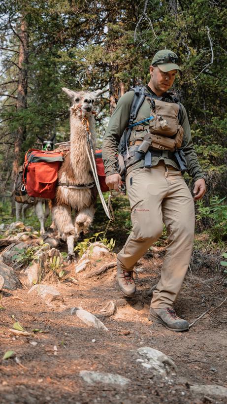 Mammut kento guide high boot awright 4