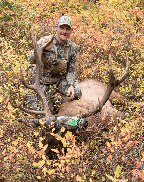 Jason phelps 2014 bull elk