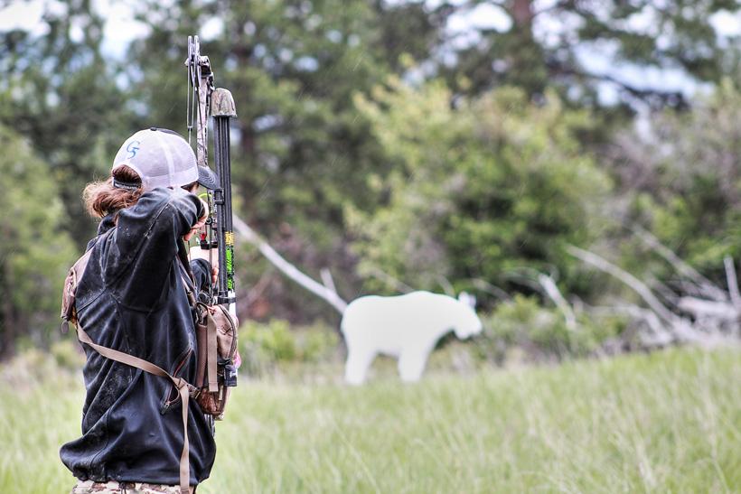 Full draw on a mountain goat 3d target