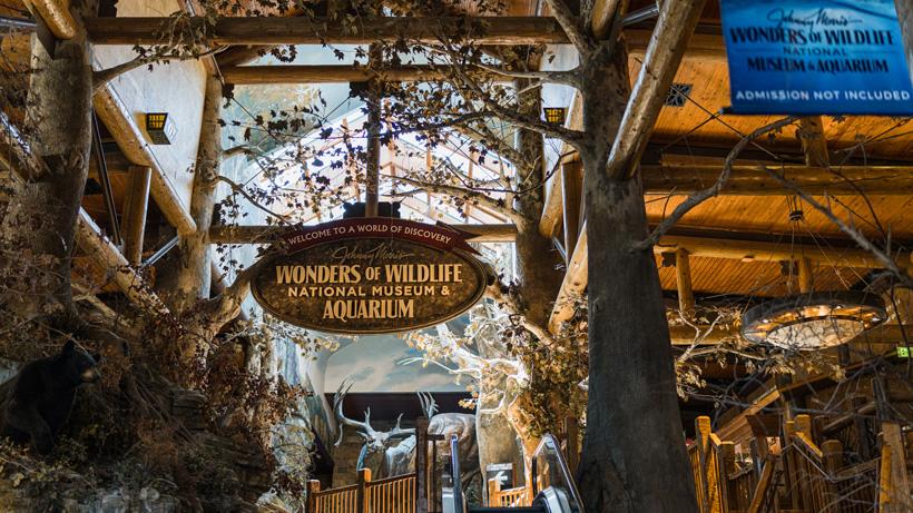 Johnny morris wonders of wildlife national museum