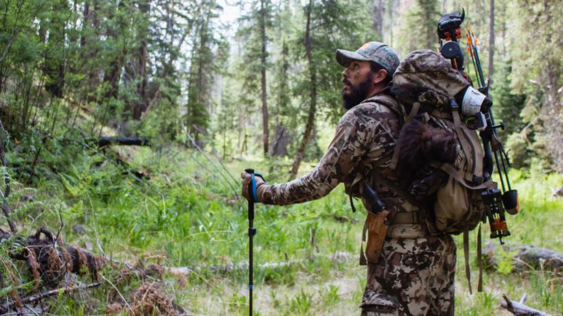 Bowhunting for success: black bears - 5