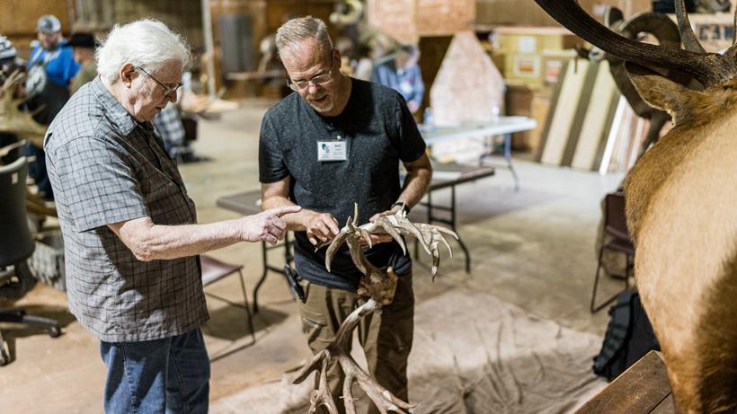Talking over the scoring of a nontypical mule deer