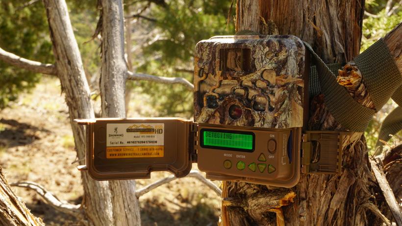Trail camera placement on tree for scouting