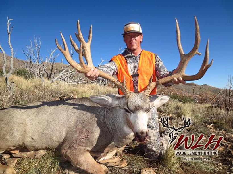 Unit focus: What makes the Henry Mountain mule deer so famous? - 5