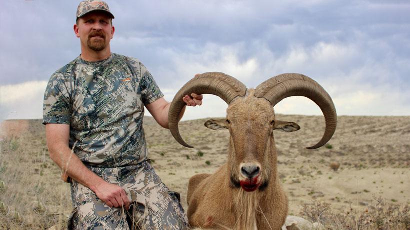 Texas aoudad 05_0