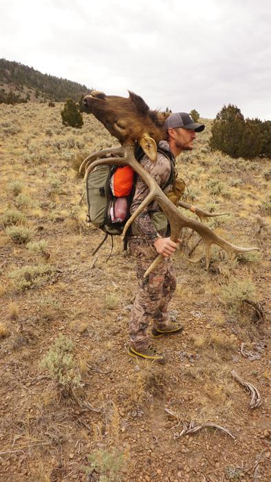 Trail kreitzer packing out a utah bull elk with stone glacier backpack