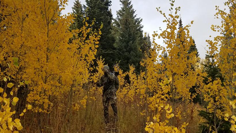Lessons learned from a 2020 archery elk hunt — Part 2 - 0d