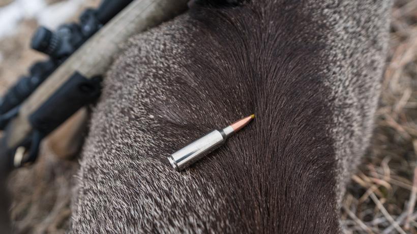 Browning launches new 6.8 Western cartridge for 2021 - 7d