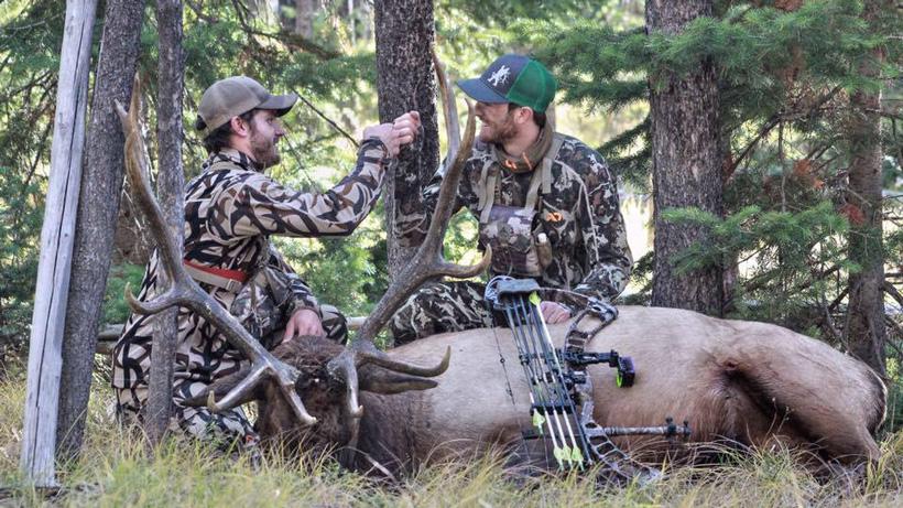 Team effort for montana archery elk