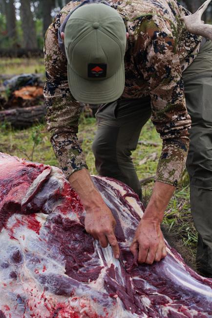 Cutting up elk meat in field