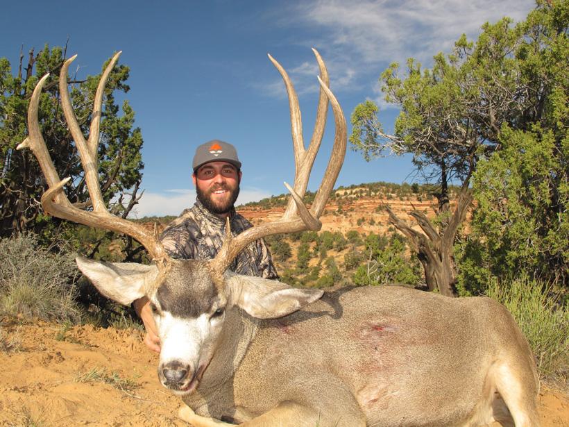 Lorenzo 2014 utah mule deer buck