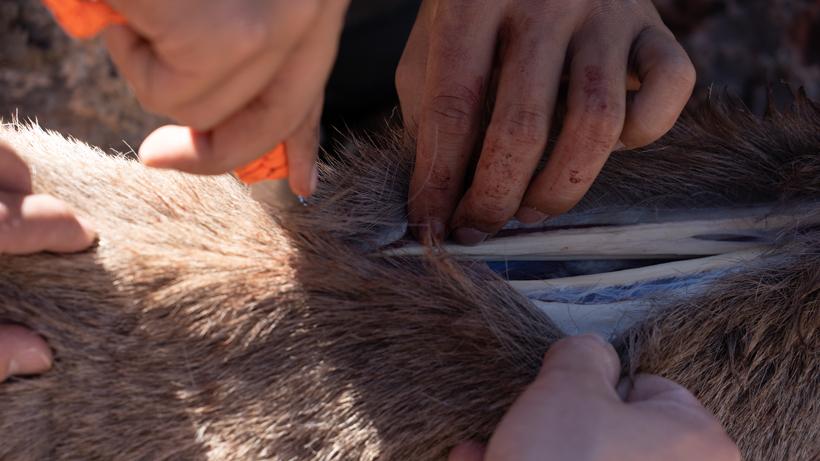 Comparing fixed vs replaceable blade knives 4