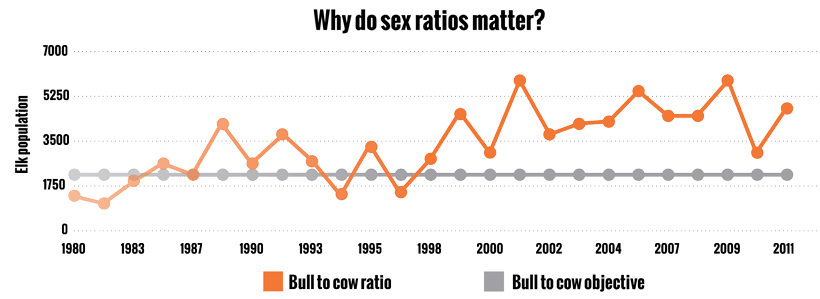 Why do sex ratios matter_1