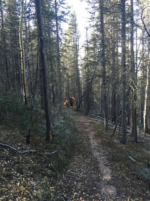Riding horses up a steep mountain trail