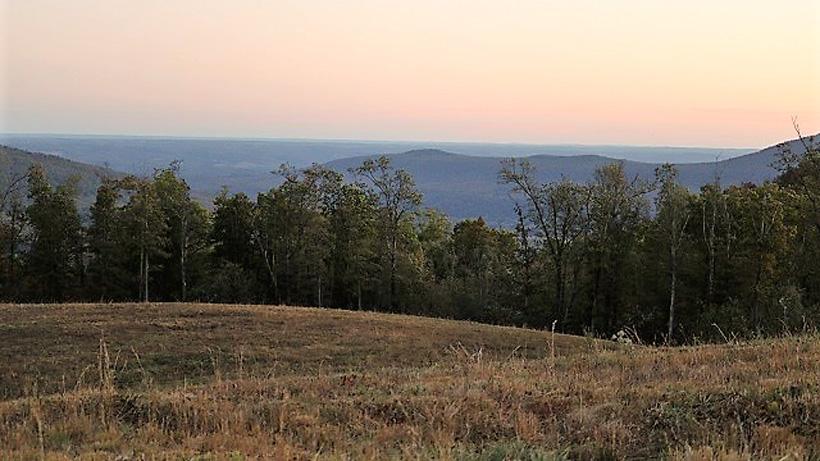 Open fields while hunting elk in arkansas