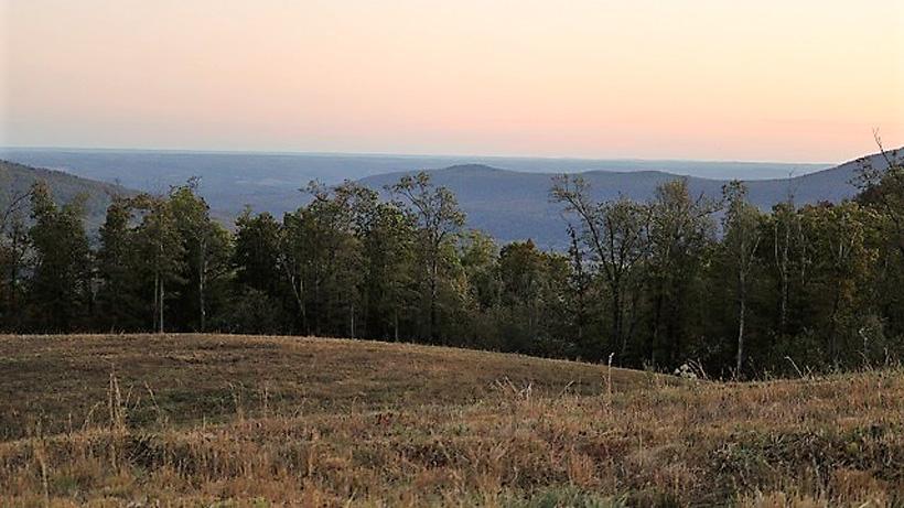 A southern style elk hunt in the mountains of Arkansas - 7