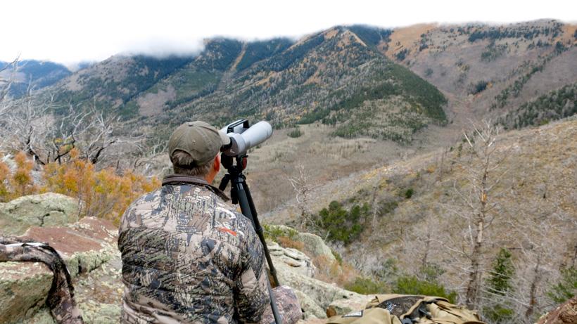 Unit focus: What makes the Henry Mountain mule deer so famous? - 2